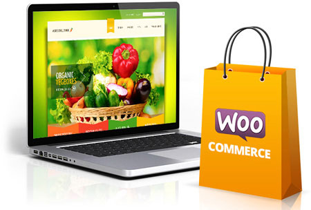 eCommerce Website Packages