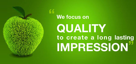 A green apple with text to the right stating “We focus on quality,” symbolising our website management services in Cork.